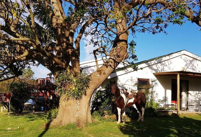 مبيت وإفطار Kei Mouth Guest Lodge