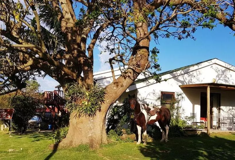 Aamiaismajoitus (B&B) Kei Mouth Guest Lodge