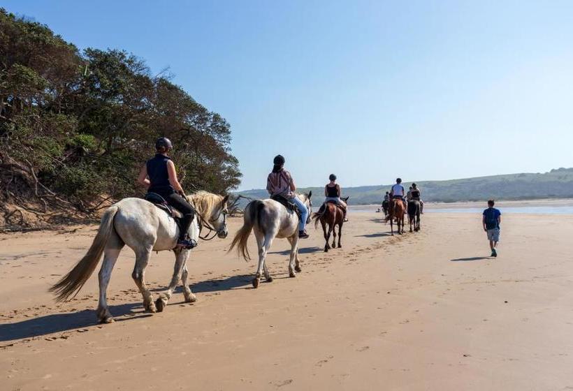 مبيت وإفطار Kei Mouth Guest Lodge