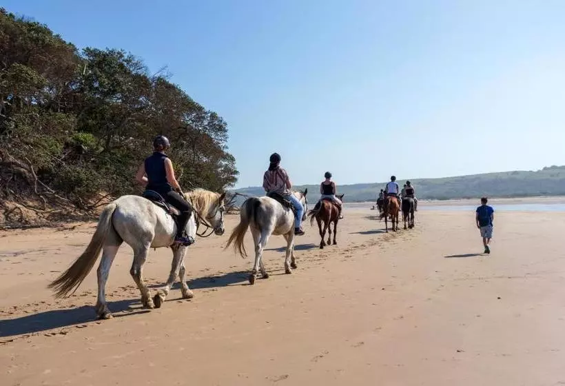 Aamiaismajoitus (B&B) Kei Mouth Guest Lodge