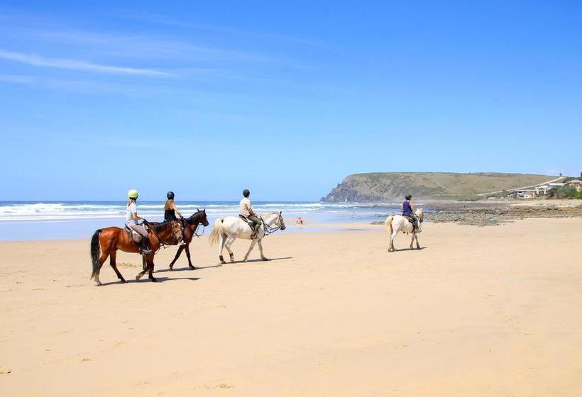 مبيت وإفطار Kei Mouth Guest Lodge