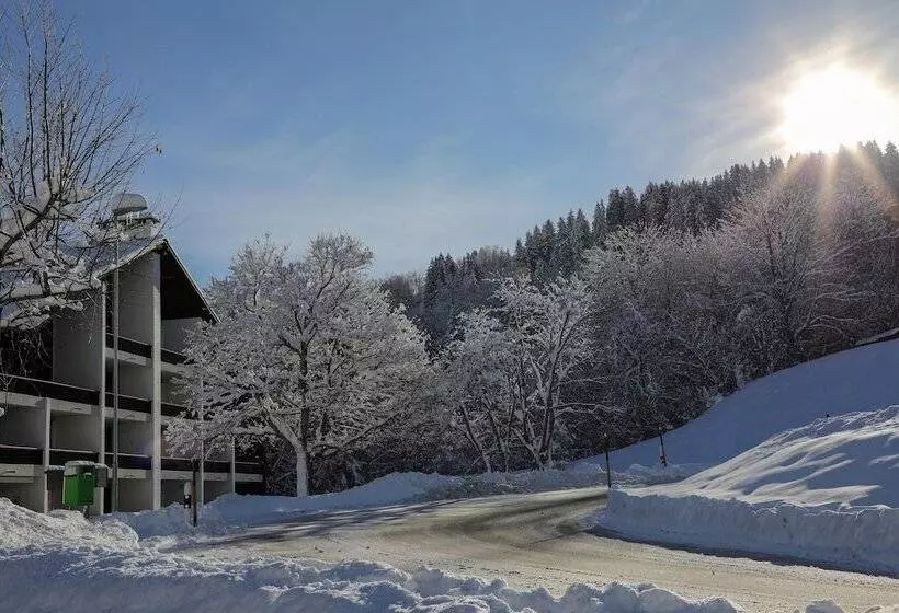 Hotelli Alpenlodge Val Gronda