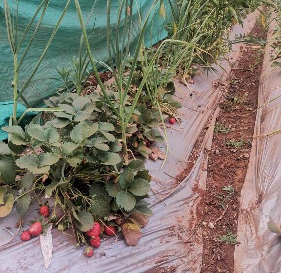 Panzió Shivshrushti Agro Tourism & River Camp Tapola