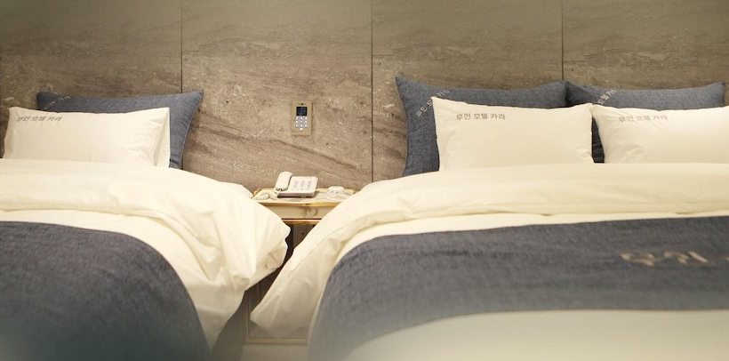 Resort The Witt Dogo