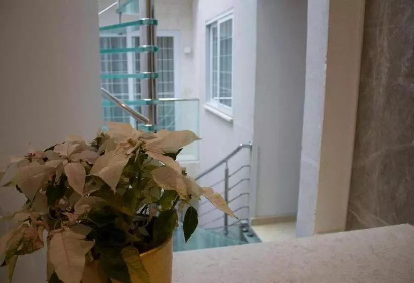 تختخواب و صبحانه 50th Guest House