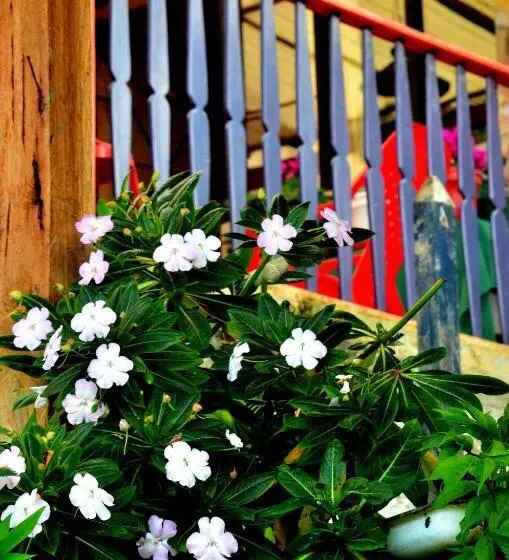 Cabana Hotel Eco Turistico El Eden