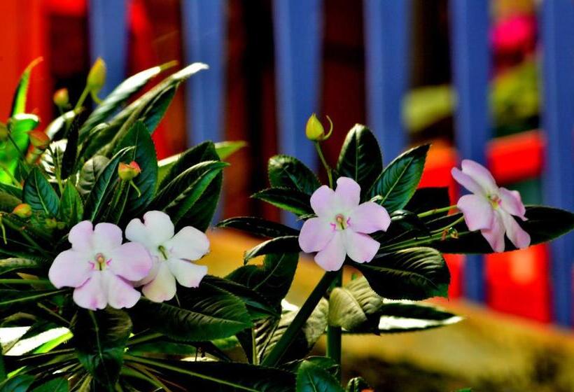 Cabana Hotel Eco Turistico El Eden