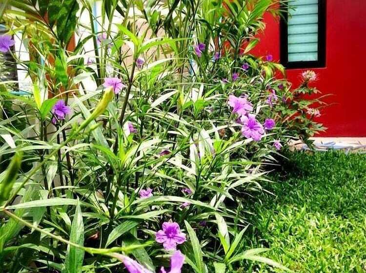 בית מלון כפרי Mulberry House Korat