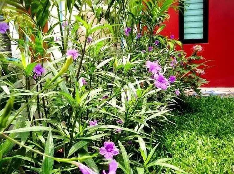 ホテル Mulberry House Korat