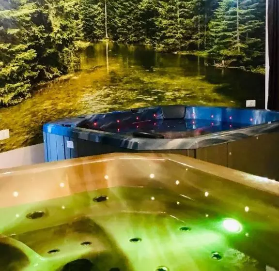 ホテル Popasul Regelui Transalpina