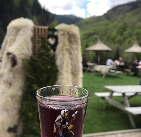 فندق Popasul Regelui Transalpina