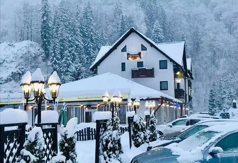 ホテル Popasul Regelui Transalpina