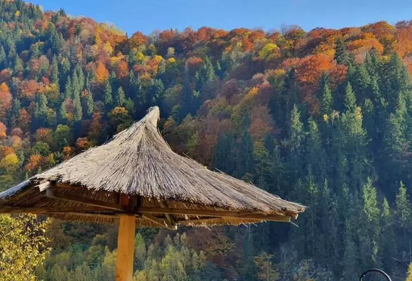 ホテル Popasul Regelui Transalpina