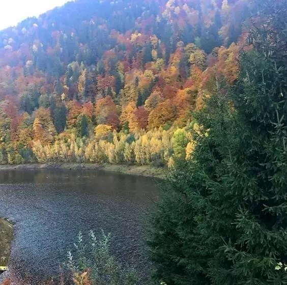 ホテル Popasul Regelui Transalpina