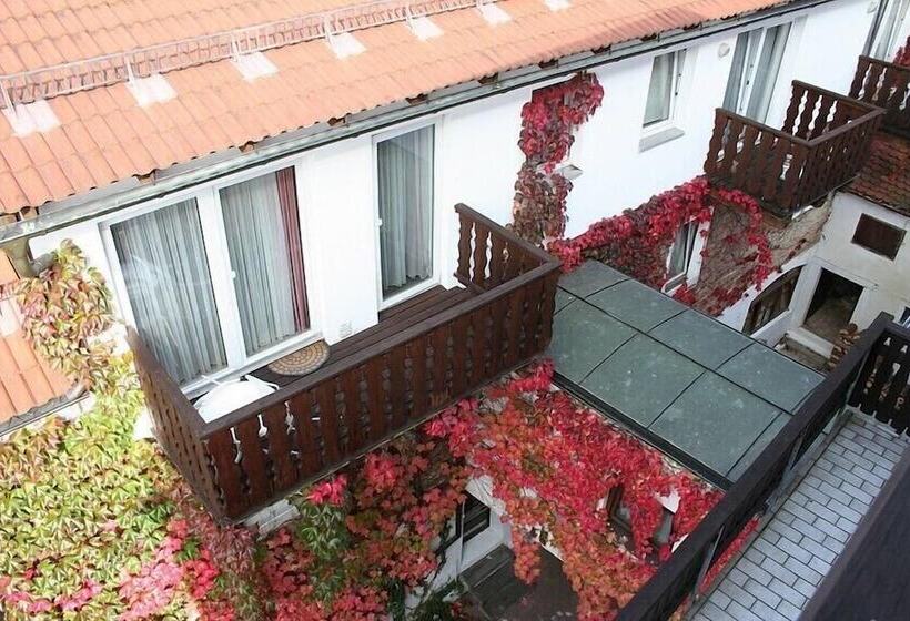 Отель Waldmünchner Stub'n