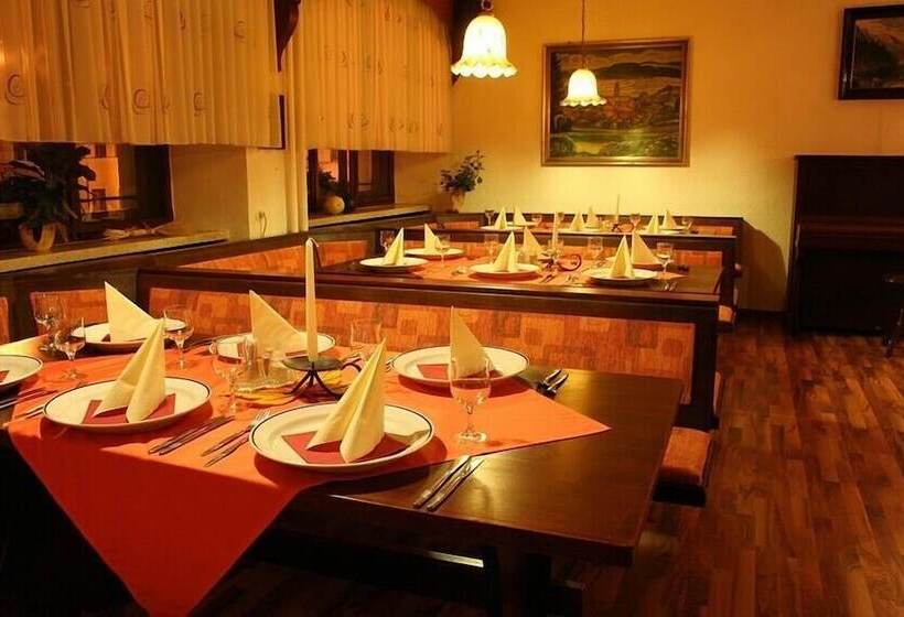 Отель Waldmünchner Stub'n