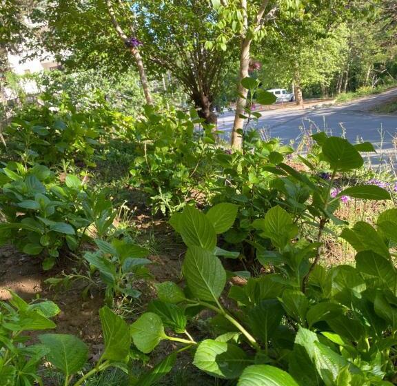 모텔 Kapri Termal Hotel & Kaplica Yalova