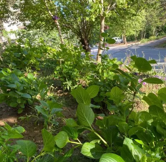 Motelli Kapri Termal Hotel & Kaplica Yalova