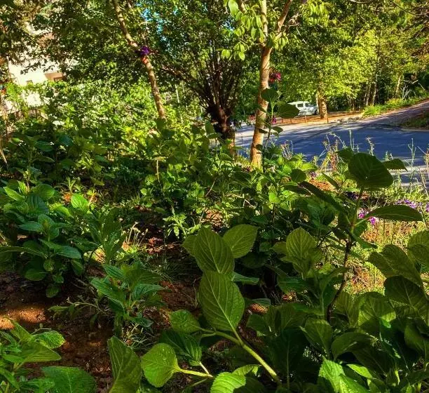 Motelli Kapri Termal Hotel & Kaplica Yalova