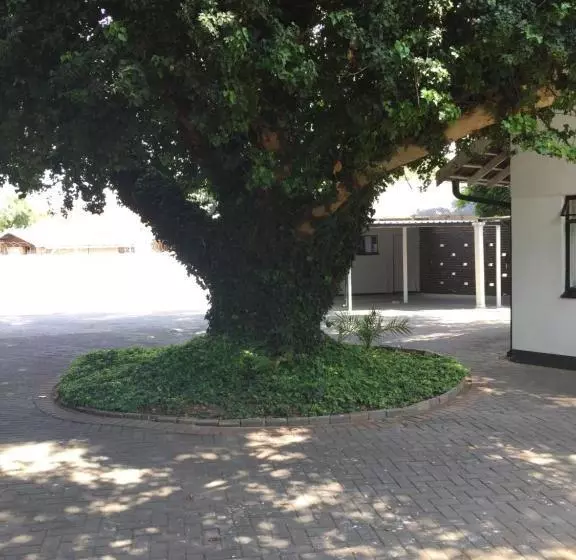 ペンション Gm Guest House In Sasolburg Town