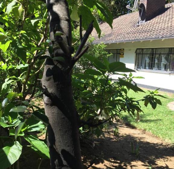 פנסיון Gm Guest House In Sasolburg Town