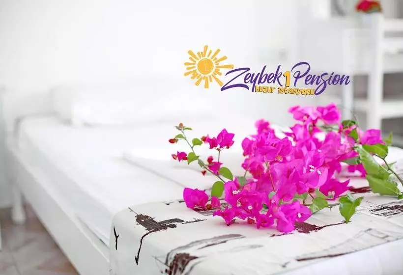 Zeybek 1 Pension