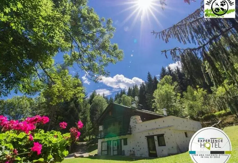 پانسیون La Locanda Delle Pulci Bio Welness