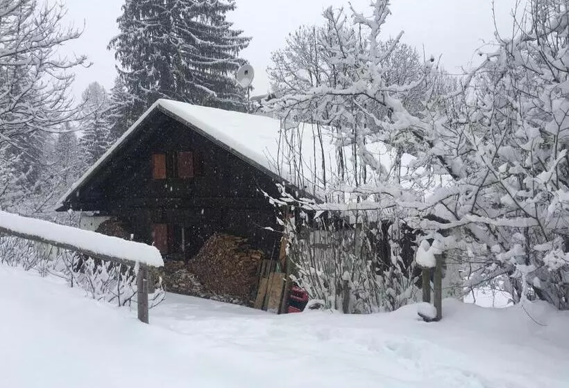 پانسیون La Locanda Delle Pulci Bio Welness