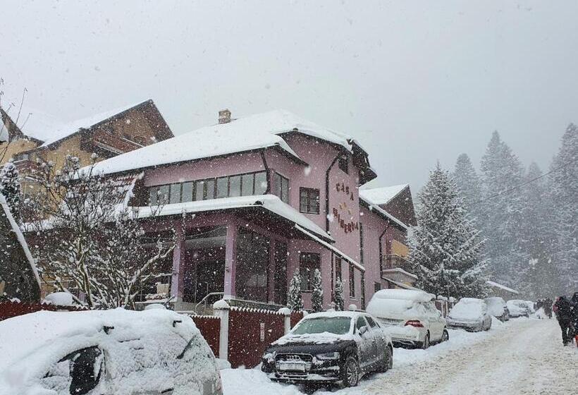 بنسيون Casa Minerva