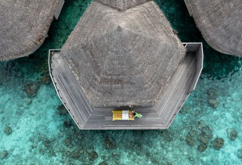 Hotel The Nautilus Maldives