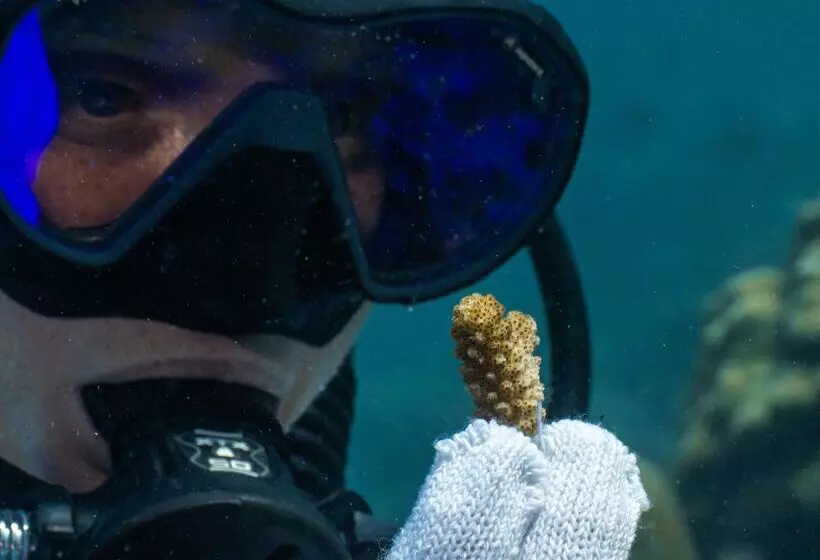 هتل The Nautilus Maldives