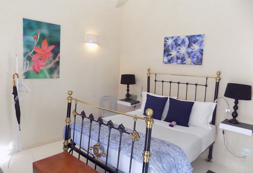 مبيت وإفطار Le Bonheur Guest Accommodation