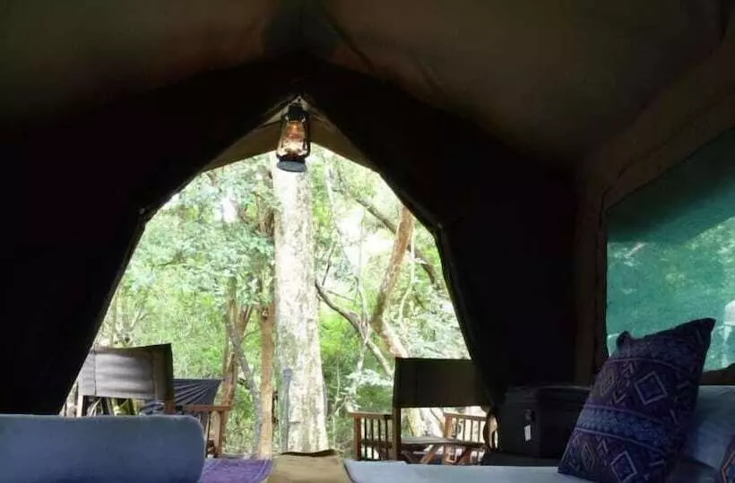 Hotelli Explorer By Eco Team   Wasgamuwa National Park