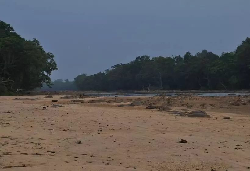 Hotelli Explorer By Eco Team   Wasgamuwa National Park