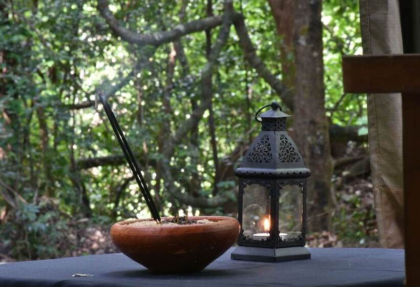 酒店 Explorer By Eco Team   Wasgamuwa National Park