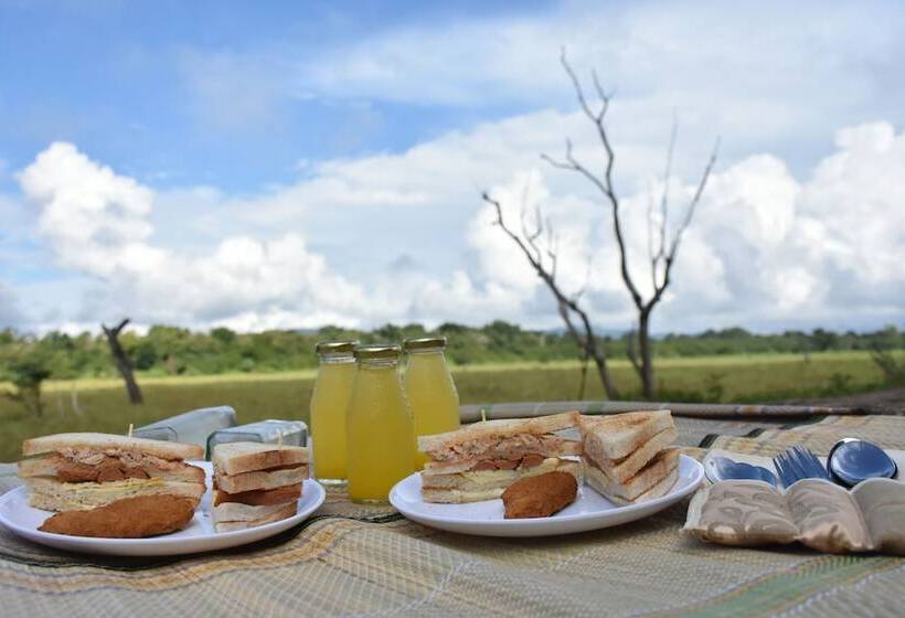 酒店 Explorer By Eco Team   Wasgamuwa National Park