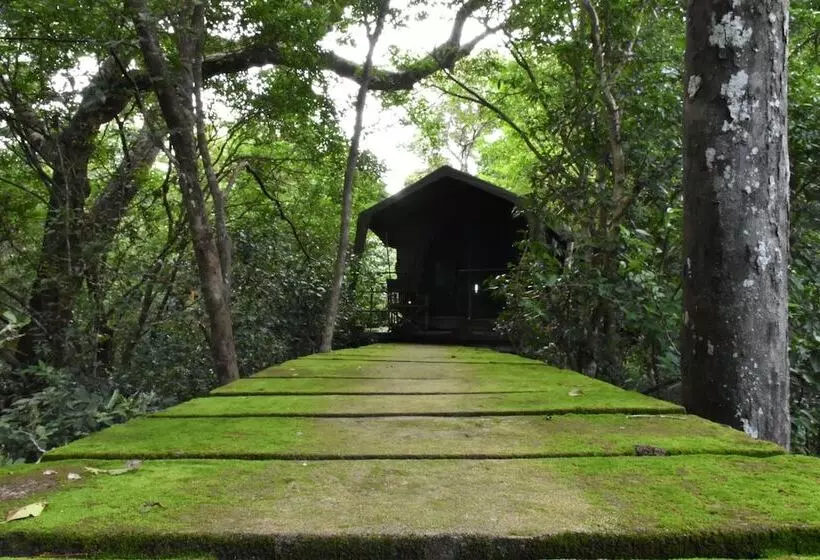 Hotelli Explorer By Eco Team   Wasgamuwa National Park