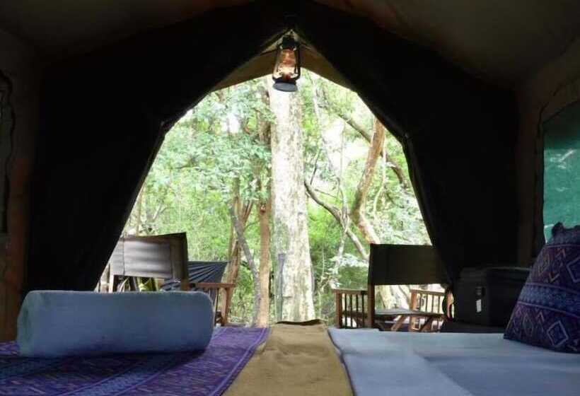 酒店 Explorer By Eco Team   Wasgamuwa National Park