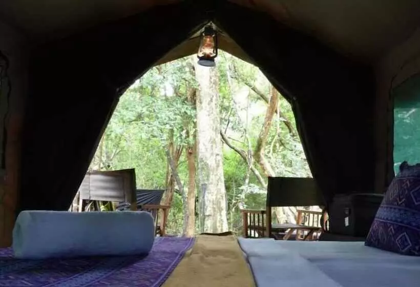 Hotelli Explorer By Eco Team   Wasgamuwa National Park
