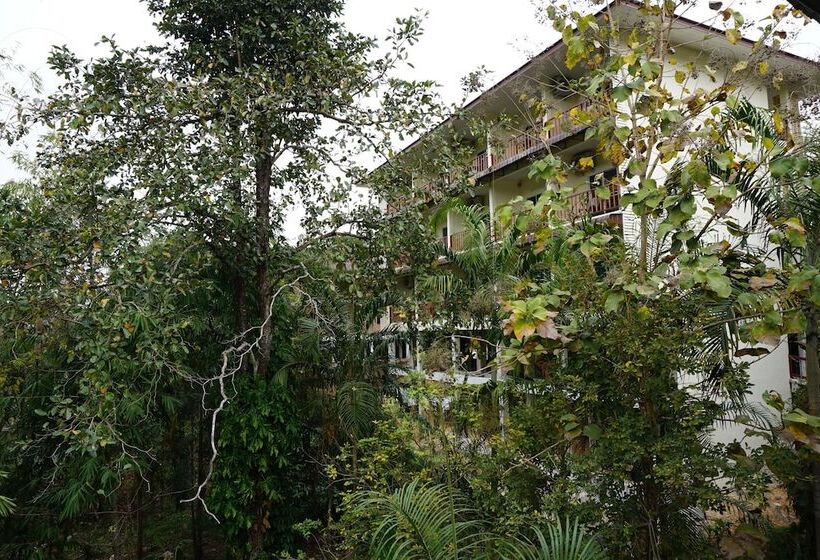 酒店 Green Hill Resort