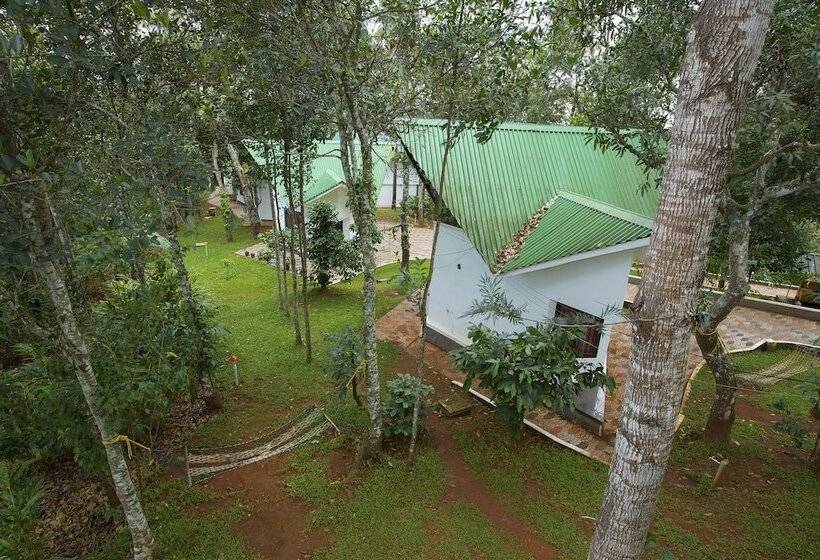 בית מלון כפרי Misty Lake Resort