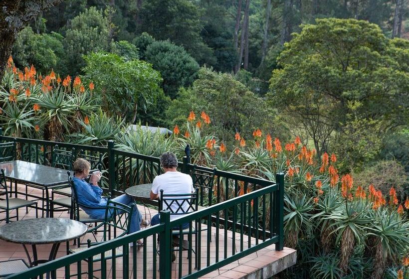 בית מלון כפרי The Cavern