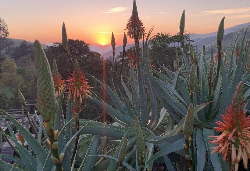 בית מלון כפרי The Cavern