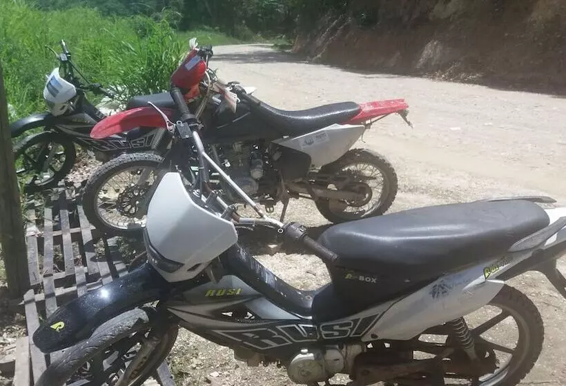 Peace And Love Resort