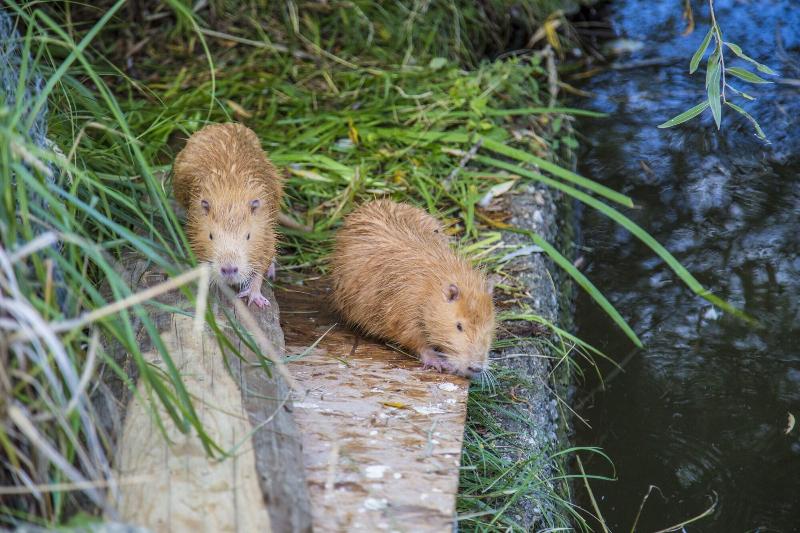 פנסיון Resort Svět