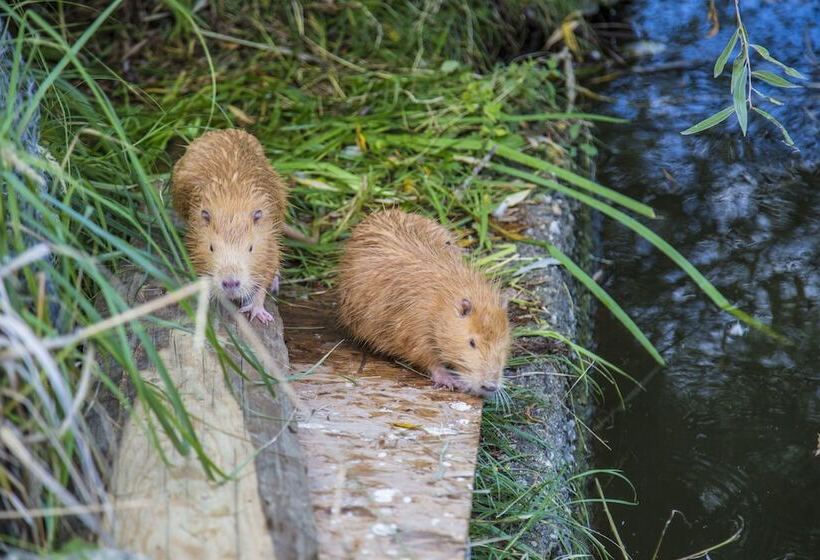 פנסיון Resort Svět