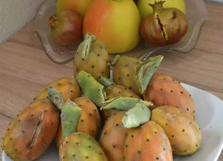 B&b Stazione Dittaino