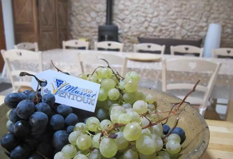 Aamiaismajoitus (B&B) Loucardalines