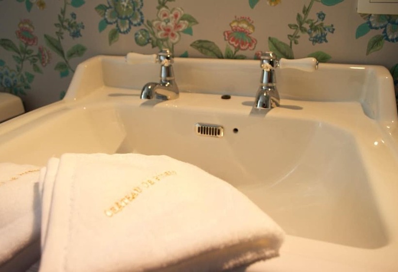 مبيت وإفطار Château De Picheny