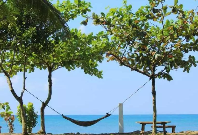 ホテル Amor Farm Beach Resort